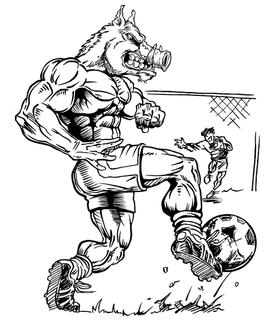 Soccer Razorbacks Mascots Decal / Sticker 2