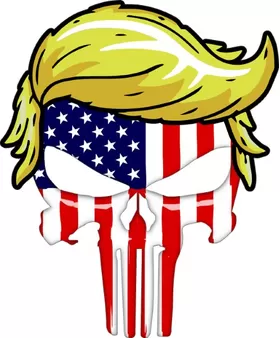 American Flag Donald Trump Punisher Decal / Sticker 180