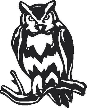 Owl Decal / Sticker