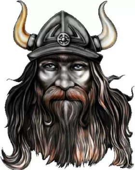 Viking Decal / Sticker 02