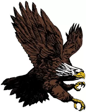 Attack Eagle Decal / Sticker 13