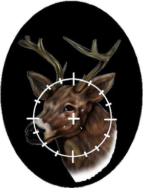 Buck Hunting Decal / Sticker 09