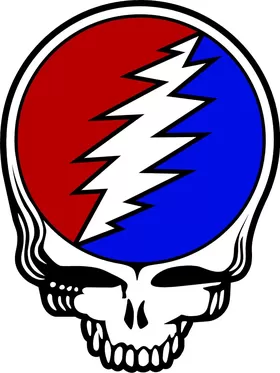 Grateful Dead Skull Decal / Sticker 16