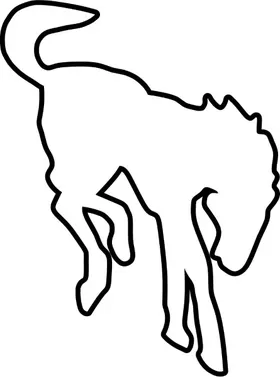 Bronco Decal / Sticker 03