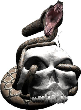 Snake Skull Decal / Sticker 02fc