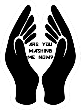 Are You Washing Me (Hands) Now? Decal / Sticker 07