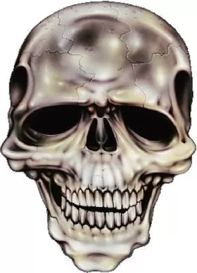 Skull Decal / Sticker 15