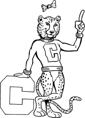 Cheetahs Mascot Decal / Sticker