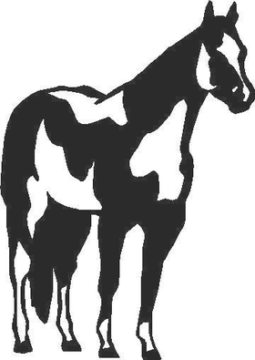 Horse Decal / Sticker 03