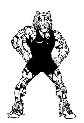 Wrestling Tigers Mascot Decal / Sticker 3