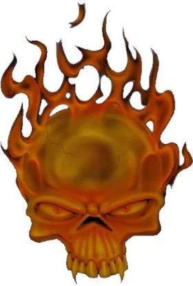 Flaming Skull Decal / Sticker 08