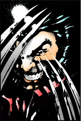X-men Wolverine Decal / Sticker 02