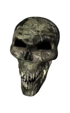 3D Backwoods Camouflage Skull Decal / Sticker