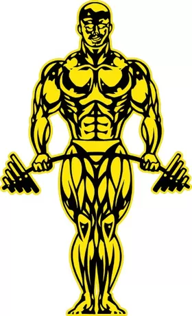 Gold's Gym Decal / Sticker 07