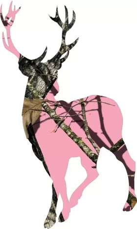 Pink Camo Buck Hunting Decal / Sticker 14