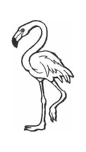 Flamingo Decal / Sticker 02