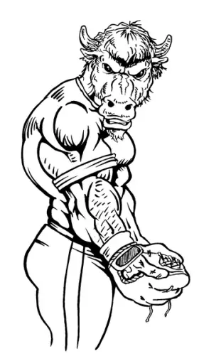 Baseball Buffalo Mascot Decal / Sticker ba2