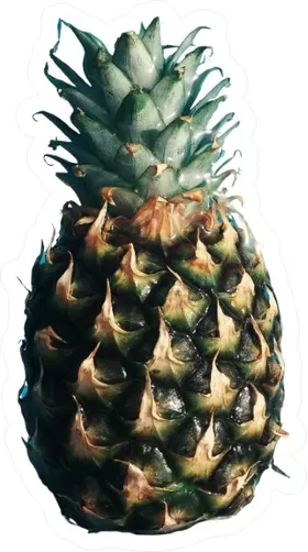 Pineapple Decal / Sticker 02