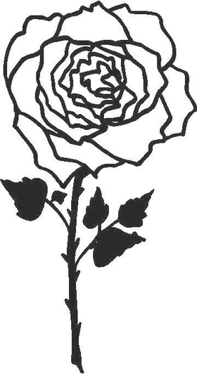 Rose Decal / Sticker 04