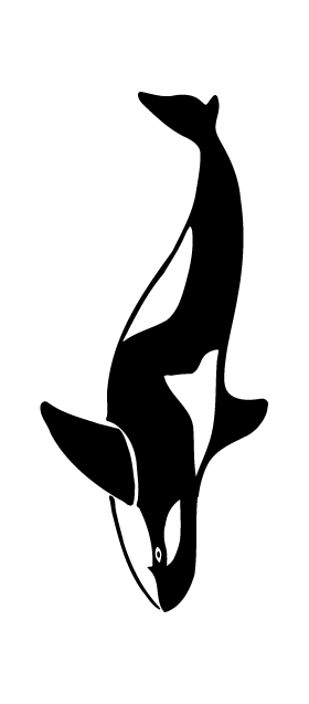 Killer Whales Mascot Decal / Sticker 02