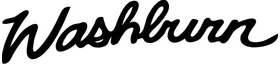 Washburn Guitars Decal / Sticker 03