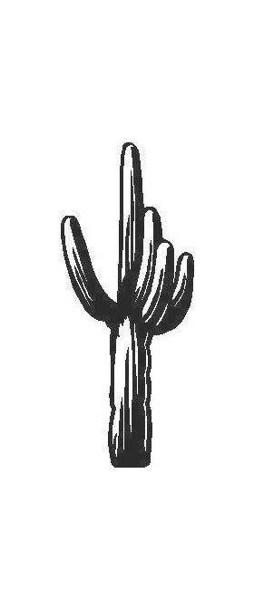 Cactus Decal / Sticker