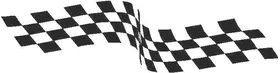 Checkered Flag Decal / Sticker 58