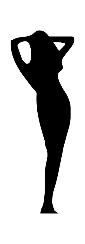 Sexy Girl Silhouette Decal / Sticker 08