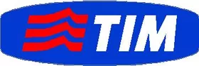 Telecom Italia TIM Decal / Sticker