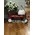 Radio Flyer 80 Decal / Sticker 19