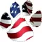 Amercan Flag Dog Paw Decal / Sticker