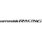 Cannondale Racing Decal / Sticker 02