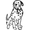 Dalmation Decal / Sticker 02