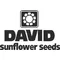 David Sunflower Seeds Decal / Sticker