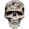 Skull Decal / Sticker 15