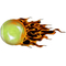 Flaming Tennis Ball Decal / Sticker