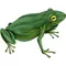 Frog Decal / Sticker 01