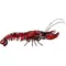 Lobster Decal / Sticker 01
