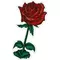 Rose Decal / Sticker 09