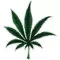 Weed Pot Leaf Decal / Sticker