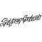 Suzuki Superbusa Decal / Sticker 02