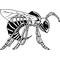 Hornet, Yellow Jacket, Bee Mascot Decal / Sticker