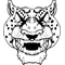 Cheetahs Head Mascot Decal / Sticker