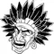 Chiefs Head Mascot Decal / Sticker