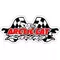 Arctic Cat Racing decal / sticker