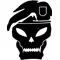 Black Ops Skull Decal / Sticker