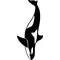 Killer Whales Mascot Decal / Sticker 02
