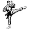 Karate Decal / Sticker