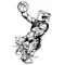 Basketball Bear Mascot Decal / Sticker