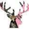 Pink Camo Buck Hunting Decal / Sticker 13